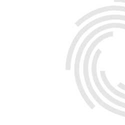 CORPORATE WATERMARK (Grey  half)