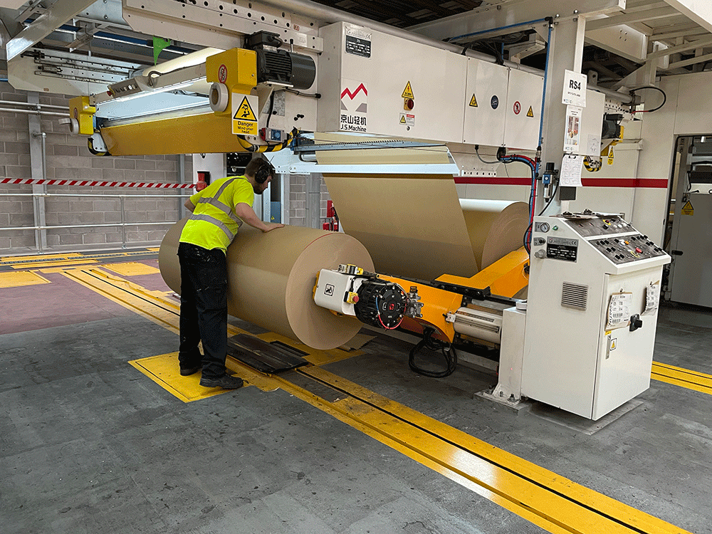 Corrugator