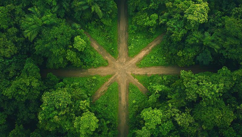Sustainability